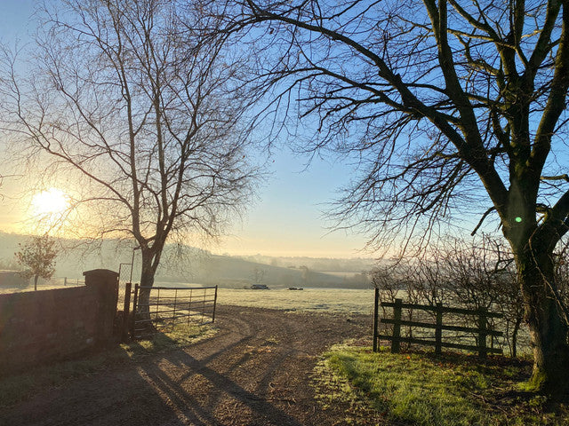 Season of Malts and Hoppy Fruitfulness