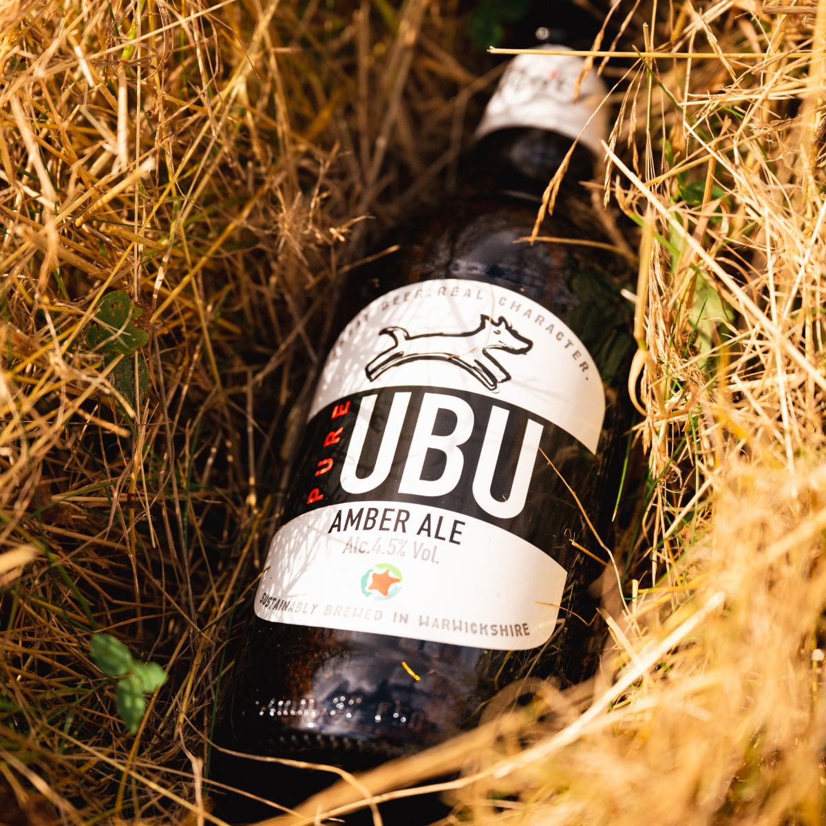 Buy Craft Beer Online UK | Award-Winning Ales & IPAs | Purity Brewing
