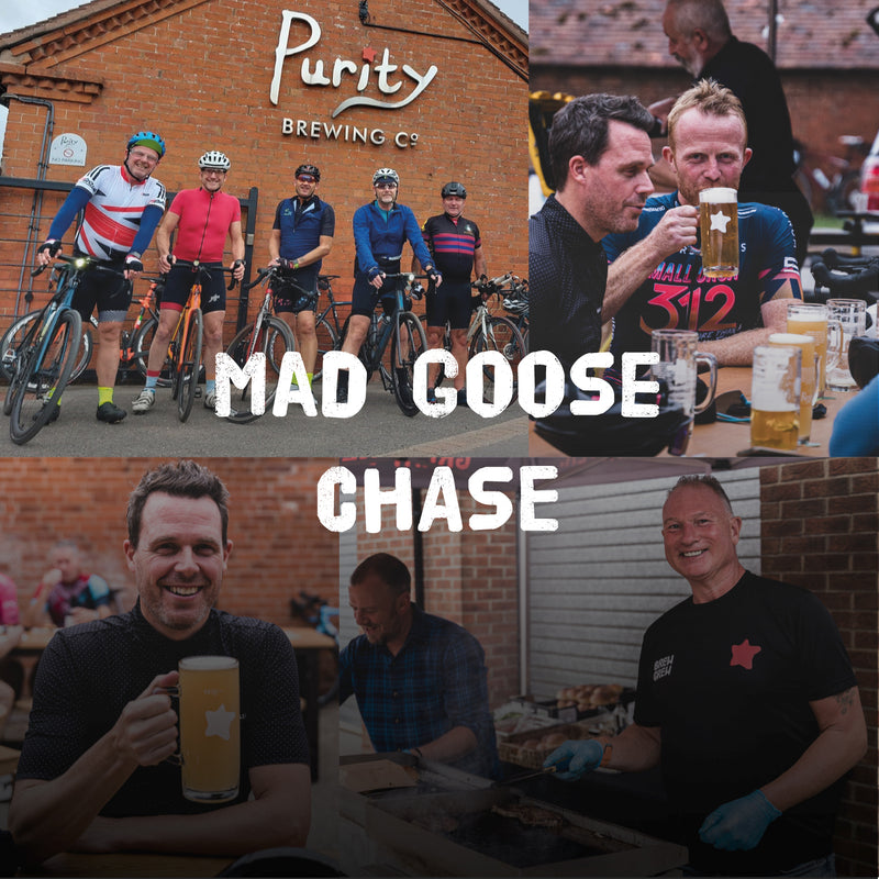 Mad goose chase - Stage 2